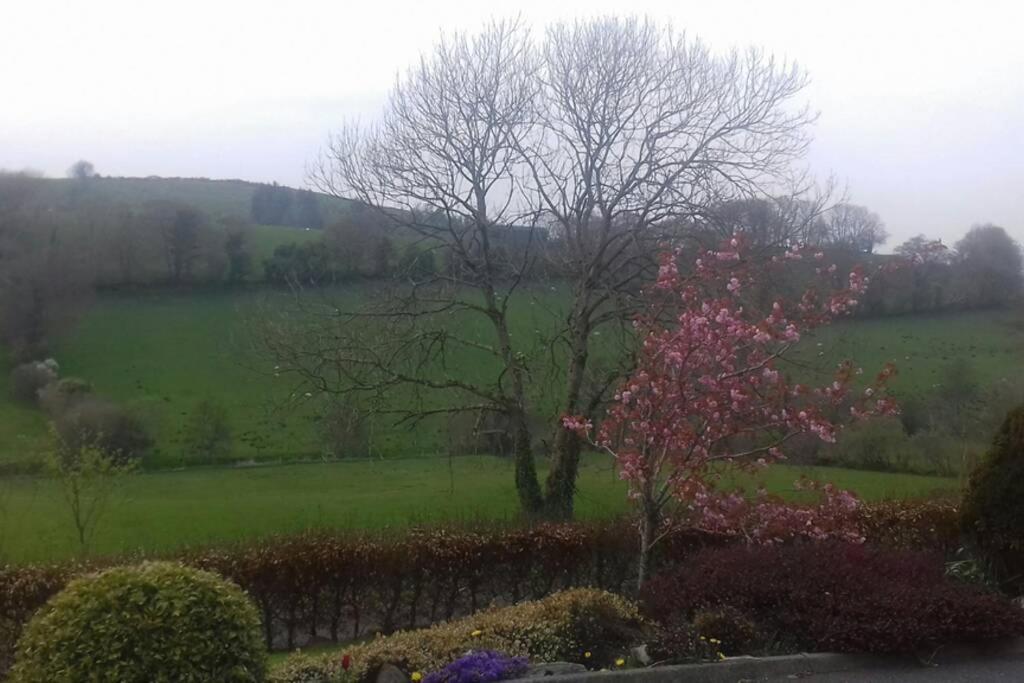 Drumgowan House Donegal Town Екстериор снимка